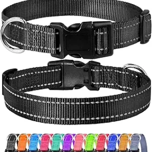 Collier de Chien Réfléchissant FunTags - Nylon Robuste avec Boucle de Dégagement Rapide