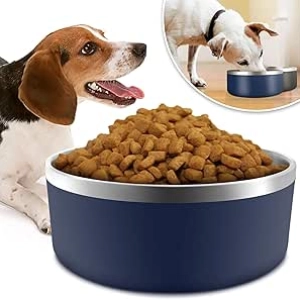 Gamelle Chien Inox 40 oz - Bol Double Paroi Antidérapant pour Chien Grand
