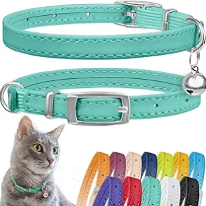 Collier Cuir Chat CollarDirect avec Clochette - Ajustable 8-11 pouces Vert Menthe