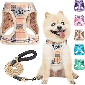 Harnais et Laisse pour Petit Chien BEAUTYZOO - Sans Étranglement XS