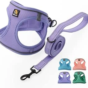 Harnais pour petit chien BELLA & PAL - Sans traction, aéré et réfléchissant XS