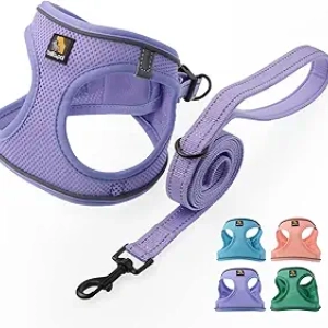 Harnais pour Petit Chien BELLA & PAL - Sans Traction, Respirant avec Laisse