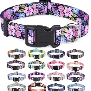 Collier Chien Bohème Floral Rose Taille M - Ajustable 33-55cm