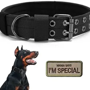 Collier Tactique Militaire pour Chien Moyen/Grand - Nylon Renforcé Réglable L