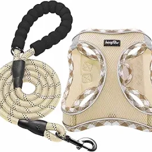 Harnais Chien Haapaw avec Laisse - Anti-Traction Ajustable Petit/Moyen