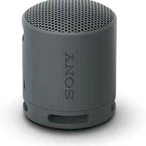 Sony SRS-XB100 - Enceinte Bluetooth Portable Étanche IP67 16h d'Autonomie