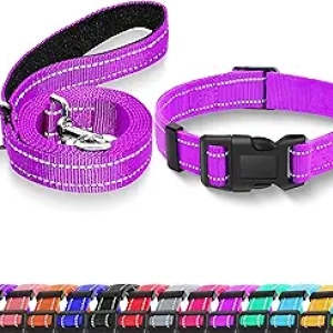 Collier Chien Réfléchissant avec Laisse - Nylon Ajustable Sécurité XS