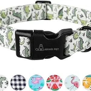 Collier pour Chien Dinosaure ARING PET - Petit Collier Ajustable Coton