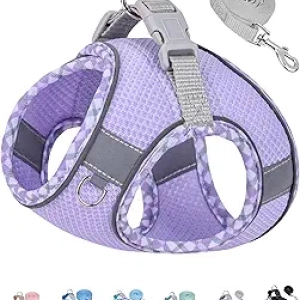 Harnais pour petit chien sans traction Petank - Violet S