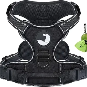 Harnais Anti-Traction Joytale M pour Chien Moyen - Gilet Réfléchissant
