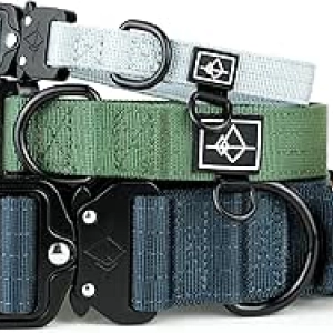Collier de Chien Premium Made to ROAM - Nylon Renforcé Réglable avec Boucle Rapide