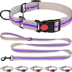 Collier Martingale Chien Moyen - Collier et Laisse Réfléchissants Néoprène Rembourré