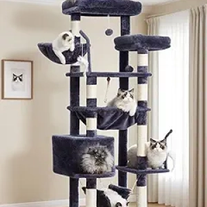 Arbre à Chat Géant 63" pour Grands Chats - Tour Multi-Niveaux avec Griffoirs Sisal