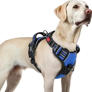 Harnais pour Grand Chien rabbitgoo - Anti-Traction Réfléchissant L