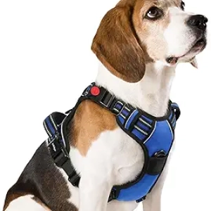 Harnais chien rabbitgoo taille M anti-traction avec poignée de contrôle