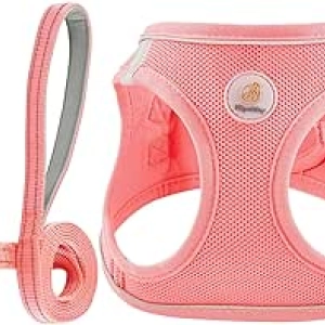 Harnais Chien Hipubby Anti-Traction S - Gilet Respirant Réfléchissant + Laisse