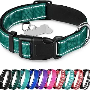 Collier Réfléchissant pour Chien TECEUM - Vert Émeraude M - Rembourrage Confort