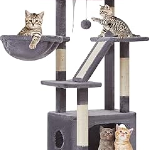 Arbre à Chat 38,5 pouces Taoqimiao - Tour Chat Intérieur pour Chatons