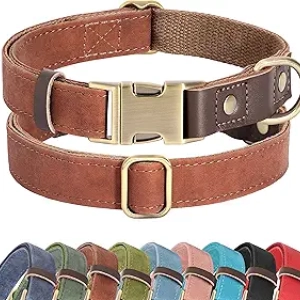 Collier pour chien moyen cuir PU souple - Boucle rapide métal