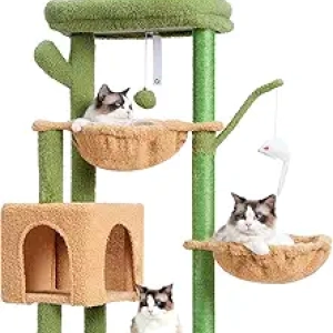 Arbre à Chat Cactus 39,4" - Tour de Jeux avec Griffoirs Sisal pour Chats d'Intérieur