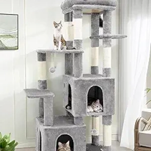 Arbre à Chat Géant 61 pouces Maine Coon - Tour Chat Grand Format avec Griffoirs