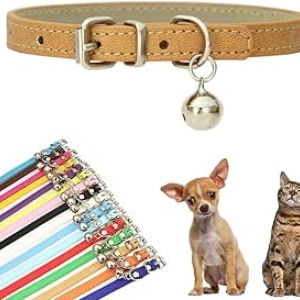 Collier pour chien XXS cuir synthétique avec clochette - petit chien chat