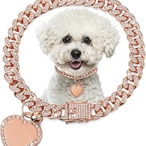 Collier Chaîne Dorée pour Chien Chat avec Strass Cœur et Plaque ID Personnalisée