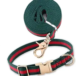 Collier et Laisse pour Chien Ajustable - Harnais Élégant Petit Chien