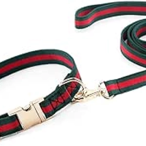 Collier de Chien Premium Luxe avec Laisse - Petit Chien & Chiots
