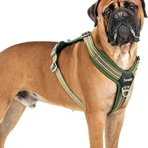 Harnais Chien Anti-Traction XL Réfléchissant - Confortable et Sécurisé