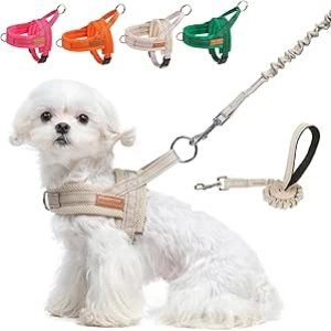 Harnais Chien Petit BEAUTYZOO Anti-Traction XS - Gilet Sécurisé avec Laisse