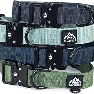 Collier pour Grand Chien Ajustable - Nylon Résistant à la Mastication avec Boucle à Dégagement Rapide