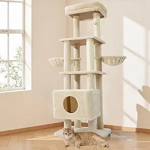 Arbre à Chats 65in XL pour Grands Chats - Tour Multi-Niveaux Stable