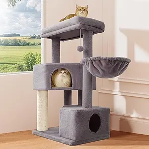 Griffoir Arbre à Chat 41" - Tour Robuste pour Grands Chats jusqu'à 20kg