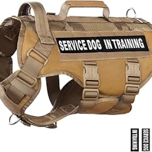 Harnais Tactique pour Grand Chien - Gilet Service Dog avec Système MOLLE