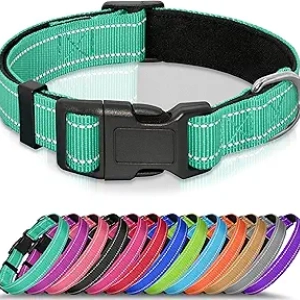 Collier pour Chien Réfléchissant Néoprène Rembourré - Ajustable XS