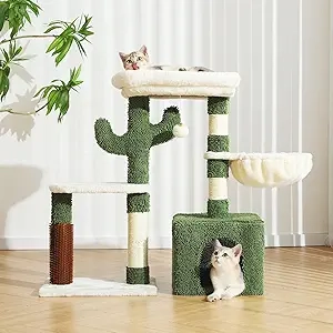 Arbre à Chat Cactus 32 Pouces - Tour Griffoir pour Petit Chat et Chaton