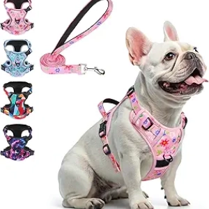 Harnais Anti-Traction Chien BEAUTYZOO - Ajustable, Réfléchissant, Rose