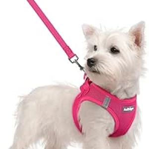 Harnais Chien Petit Rabbitgoo avec Laisse - Rose S