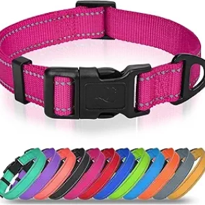 Collier pour petit chien Joytale réfléchissant - Nylon ajustable avec boucle rapide