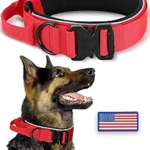 Collier pour Gros Chien Renforcé - Réfléchissant avec Boucle Métal
