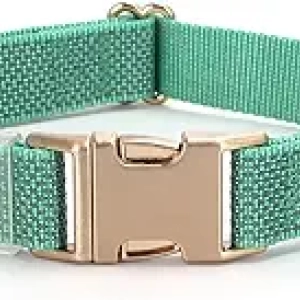 Collier Chien Réfléchissant avec Boucle Métal - Sécurité Nuit