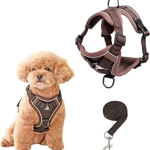 Harnais Petit Chien SOLMOONY - Anti-Évasion, Réfléchissant et Confortable (S)