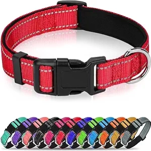Collier Chien Réfléchissant Neoprène - Taille M - Sécurité Nocturne