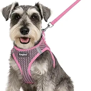 Harnais et Laisse pour Petit Chien Eagloo - Gilet Respirant Rose Taille S