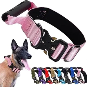 Collier Tactique Chien Robuste - Collier Militaire avec Poignée et Boucle Métal