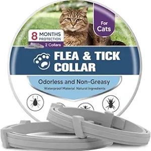 Collier Anti-Puces et Tiques pour Chat - Protection 8 Mois