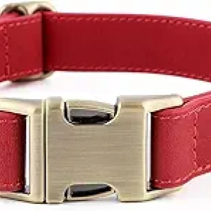 Collier Chien Cuir Véritable Plutus Pet - Ajustable S, Boucle Rapide