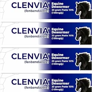 Pâte Vermifuge Cheval 10% - 4 Seringues 25g - Traitement Antiparasitaire Équin
