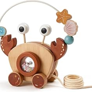 Jouet Montessori Crabe à Traîner en Bois - Jouet d'Apprentissage pour Bébé et Enfant